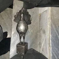 حیوان علامت  فوری