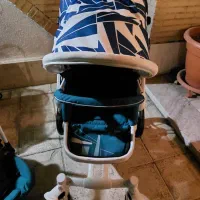 کالسکه و صندل ماشین تینو