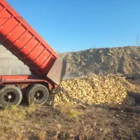اجر ملایر و کنگاور
