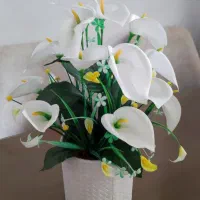 گل کادویی