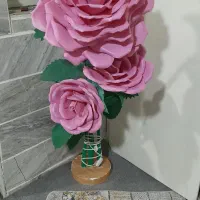 گل کنار سالنی