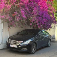 سوناتا وای اف ۲۰۱۲ بیرنگ