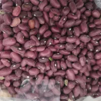 لوبیا چیتی-لوبیا قرمز