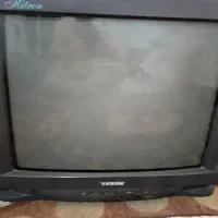 تلوزیون