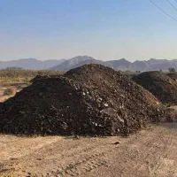 فروش کود گاوی