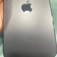 12 pro max