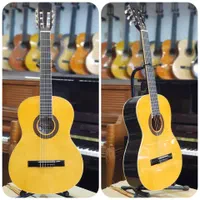 گیتار یاماها،والنسیا،کورت