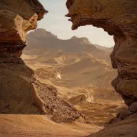 پخش تراکت و آگهی