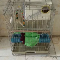 قفس پرنده