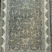 ۹متری لوتوس فیلی