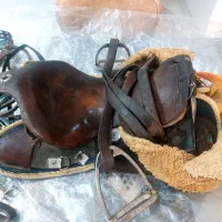 زین اسب با دهنه