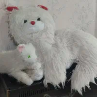دو عدد عروسک گربه بزرگ و متوسط