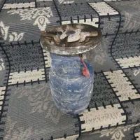 فروش یک پیکنیک یک کیلویی