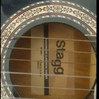 فروش گیتار stagg