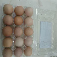 تخم مرغ محلی ارگانیک گلپایگانی . رسمی