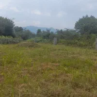 فروش ۶۰۰۰متر زمین باغی مسکونی