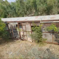 کانکس