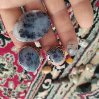 شجر ابی|کلکسیون اشیاء عتیقه|شیراز, حومه شیراز|دیوار