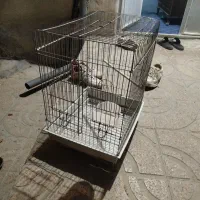 قفس نونو همراه با لونه بزرگ