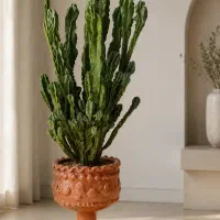 کاکتوس صخره ای