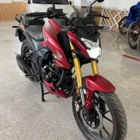 Honda hornet