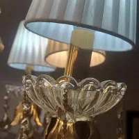 دو عدد لوستر شکسته هشت شاخه