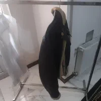 رگال استیل ومشکی