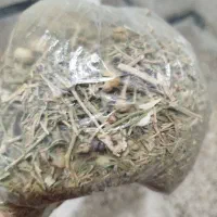 اسپند محلی خوش عطر