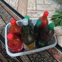 رب خانگی