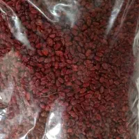 زرشک و زعفران اعلا