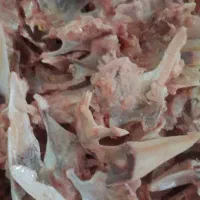اسکلت استخوان کمر گردن غذای سگ چربی پی مرغ
