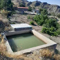 ویلا باغ