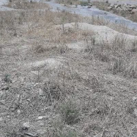 زمین فروشی