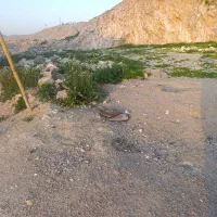 فروش فوری زمین به متراژ 400