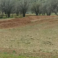 زمین-درب-حیاط-دارای-سند-تک-برگ