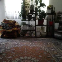 مسکن مهر کارگری همکف