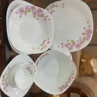 آرکوپال ۲۴ نفره