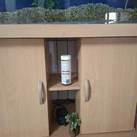 فروش اکواریوم  رومیزی