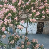 آپارتمان 75 متری تک واحدی تمیز