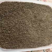 فروش نعناع خشک
