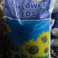 تخمک