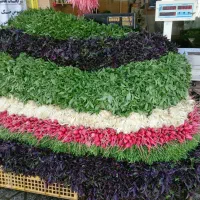 اجاره-قسمتی-از-میوه-فروشی-برای-سبزی-فروشی