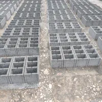 کاگربلوک زن