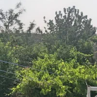 خانه باغ