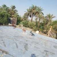 شارژده با پلاکی