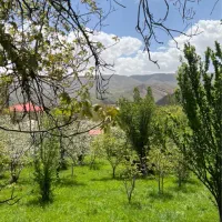 ۱۰۰۰ متر زمین داخل بافت