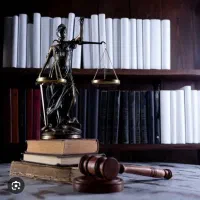 وکیل پایه یک دادگستری با بیش از ۱۰ سال سابقه