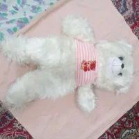 عروسک خرس
