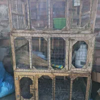 قفس کبوتر یا خروس 120در70