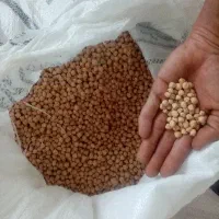 نخود محلی 200 تومان